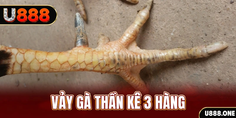 link new88 sòng bạc Đăng nhập