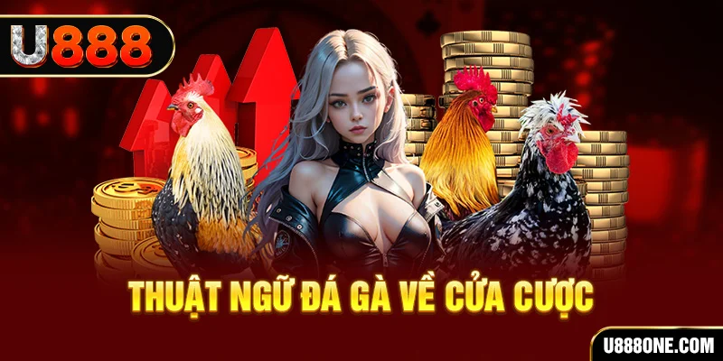bet188 sòng bạc Đăng ký